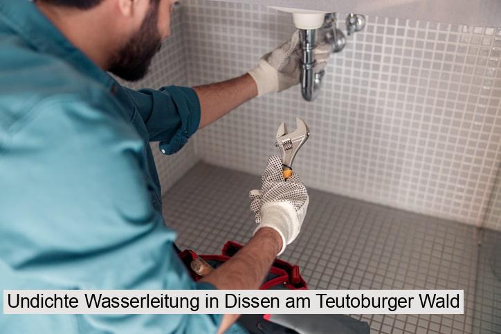Undichte Wasserleitung in Dissen am Teutoburger Wald